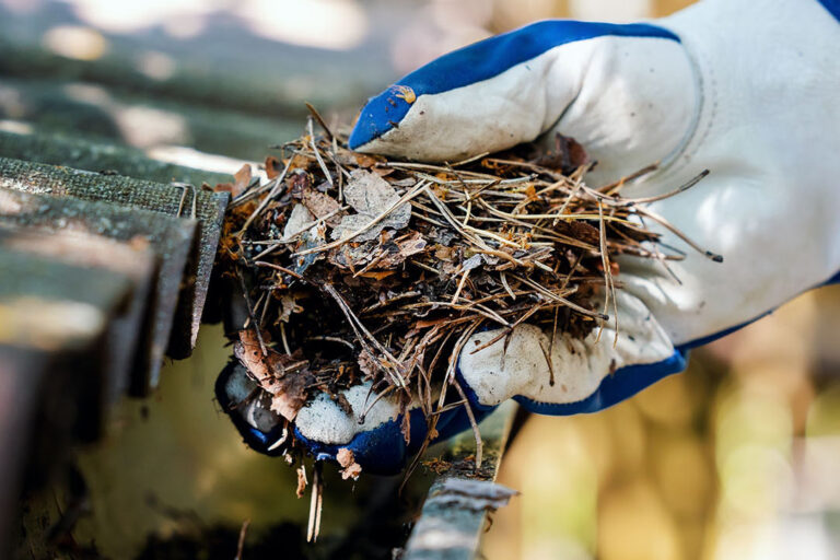 cleaning dirty house gutter from leaves and needles. banner with copy space