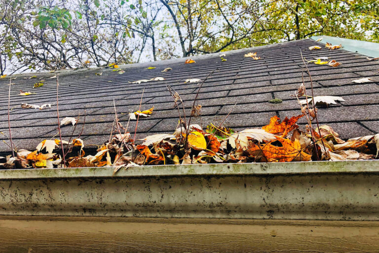 Leaves clog a house’s rain gutter in the fall
