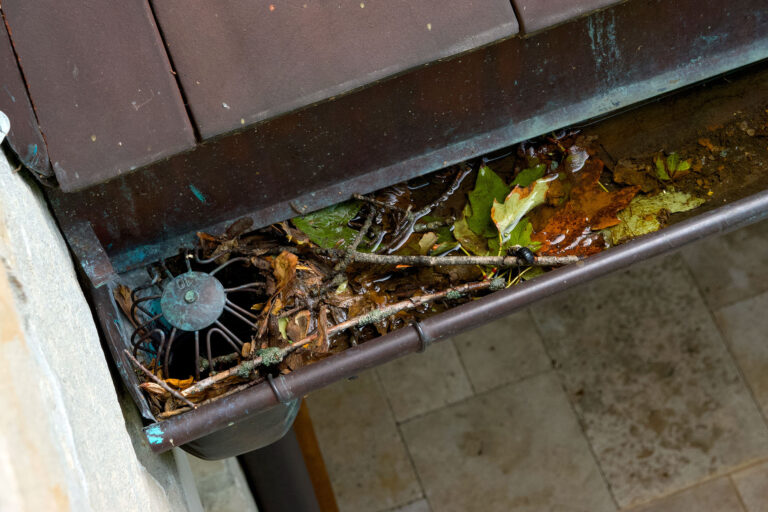 Clogged roof gutter drain with stagnant water, leaves, and debris